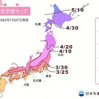 (懶人包)京都必去賞櫻景點10選推薦–醍醐寺、平安神宮、還有……