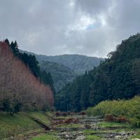 40+緣來緣去