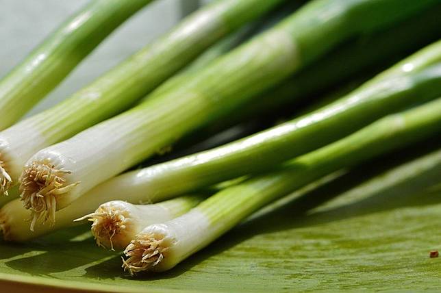 Cara Menanam Daun Bawang Dengan Mudah Pakai Sisa Bahan Di Dapur Bisa Hipwee Line Today