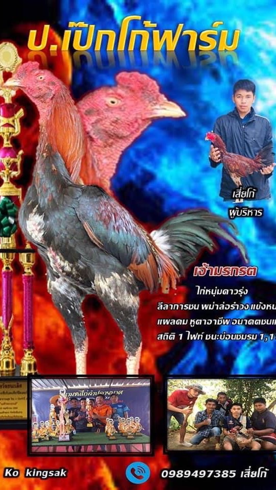 ซุ้มไก่ ช.บุญทรัพย์