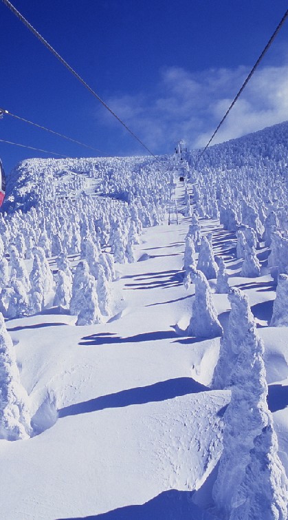 I LOVE♥スノボちゃん🏂(東北南部)宮城・福島・岩手・山形・秋田