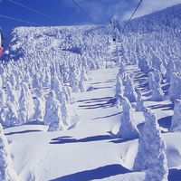 I LOVE♥スノボちゃん🏂(東北南部)宮城・福島・岩手・山形・秋田