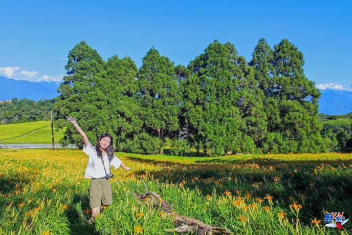 2023赤柯山金針花海必拍推薦8大景點 @Ya!Travel 野旅行新聞網