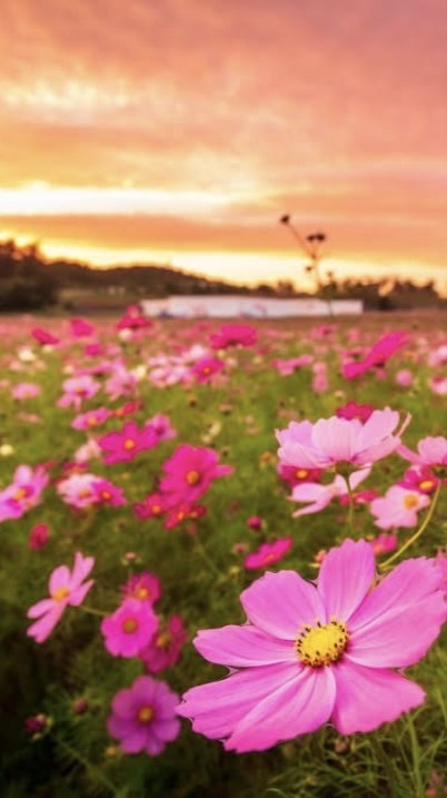 皆んな友達・陽だまり空間(雑談スタンプ)