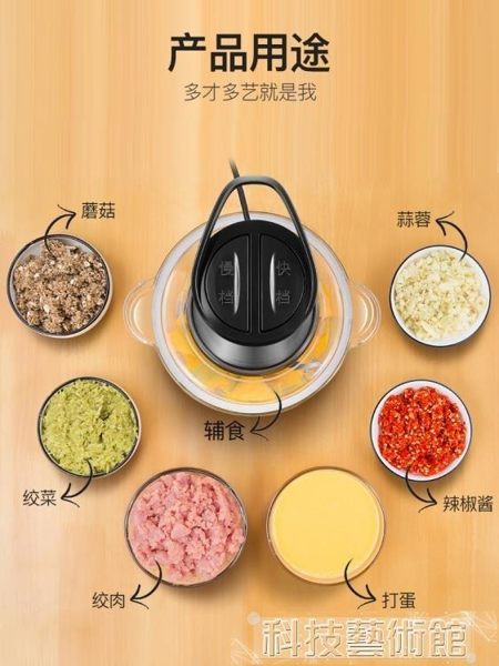 絞肉機家用電動小型不銹鋼攪拌機多功能料理機碎菜打餡全自動 DF科技藝術館