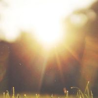light soul生命中的那盞光