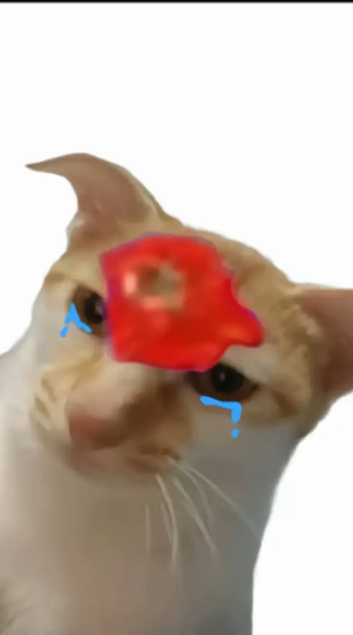 oc人/同人/繪畫人交流社