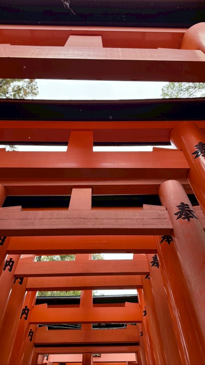 江的不專業代購