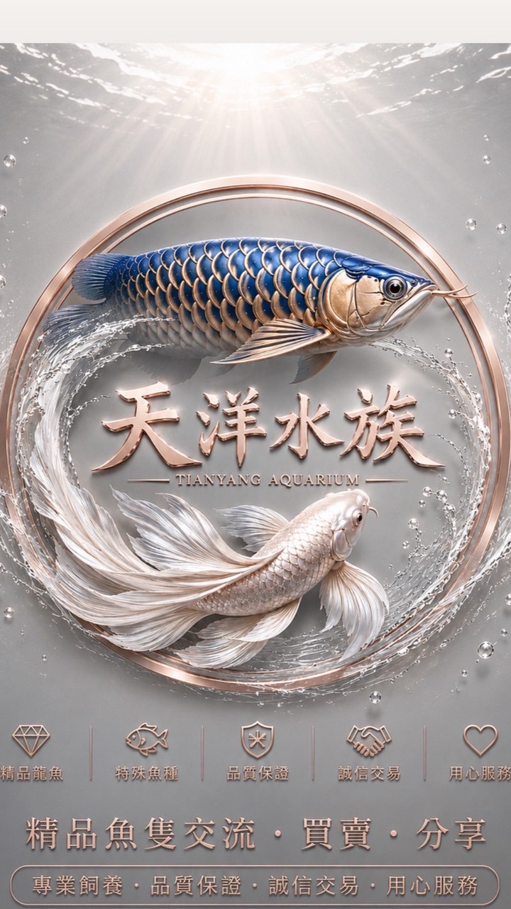 天洋水族｜競標｜買賣｜交流