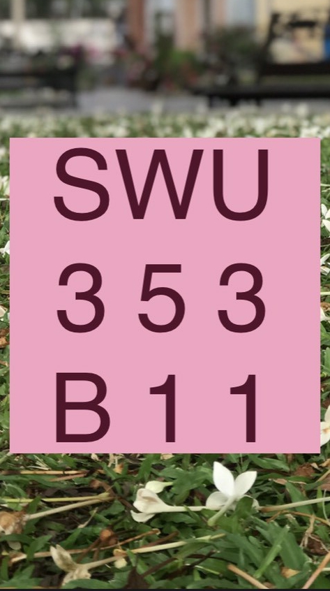 SWU353 B11