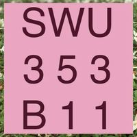 SWU353 B11