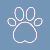 高雄台南寵物課程分享｜犬貓美容師證照｜寵物按摩課程｜寵物照護員寵物保母訓練｜國際考照｜國際認證｜課程