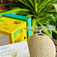 啾C🍉~（日本草莓、日本水果、進口水果、台灣本土）