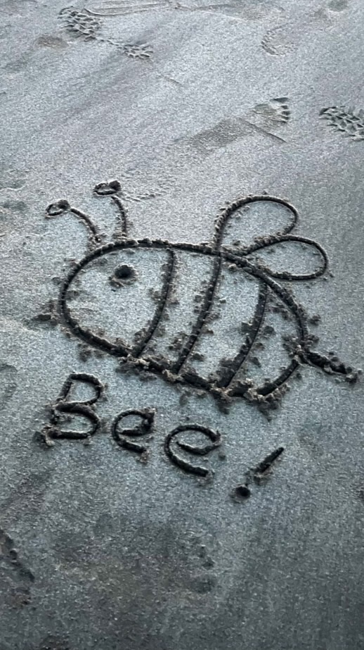 Bee 🐝 檔案