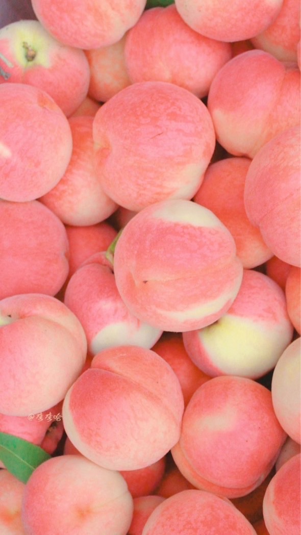 🍑大人の関西地域🍑30代40代50代🍑ライブトーク🍑楽しい雑談🍑