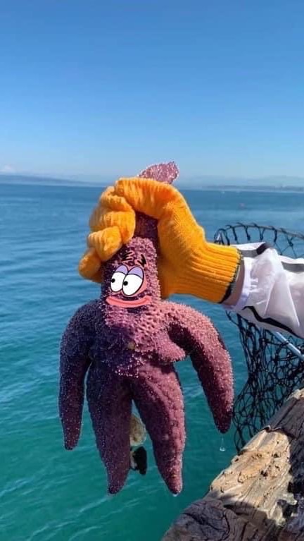 屏科大釣魚揪不揪