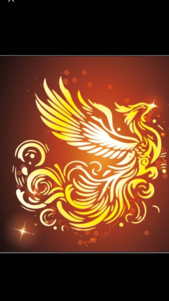 鳳凰藝術團💃