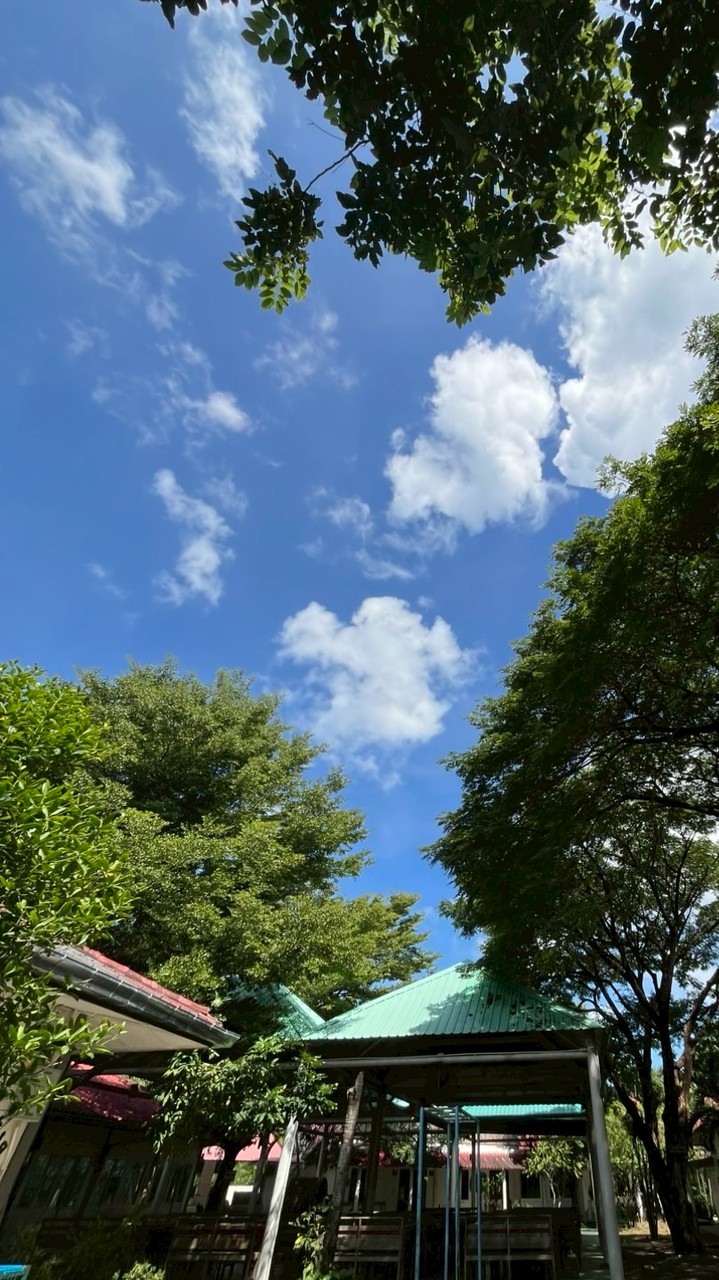 🩵ภาพกิจกรรมRSSปี2568🩷