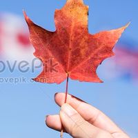 加拿大🇨🇦美國🇺🇸英國🇬🇧日本🇯🇵代購