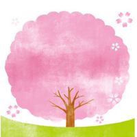 【東京】お花見＆開花情報🌸写真＆スポット/ 桜 さくら 梅 ウメ 春