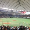 プロ野球選手のサインほしい人集合！