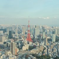 知財法について色々