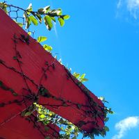 自我成長筆記🌺