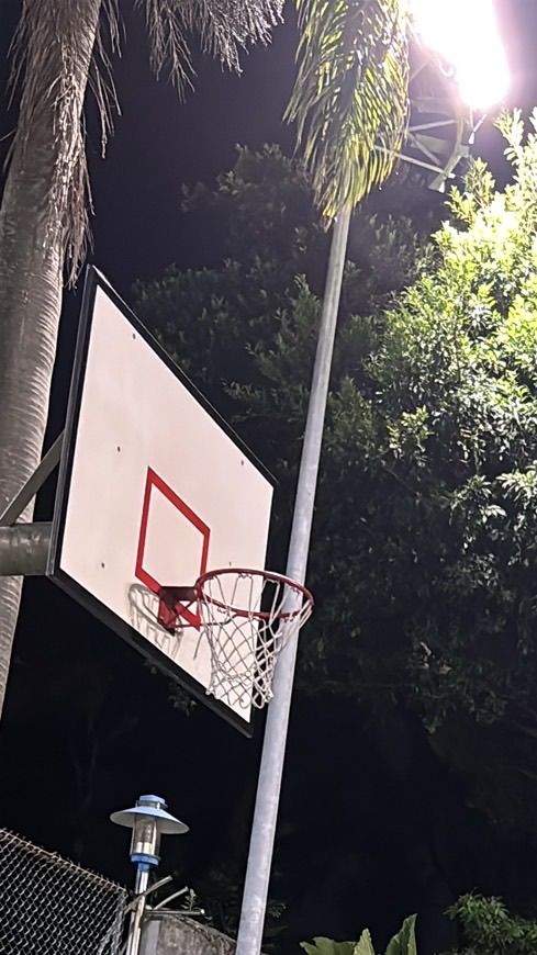 桃一少怕籃球