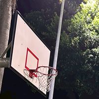 桃一少怕籃球