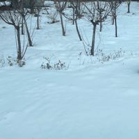 好祥去旅遊