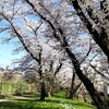 双極性障害・鬱・パニック障害・その他のメンタル部屋