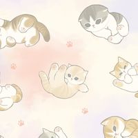 850猫の縄張り