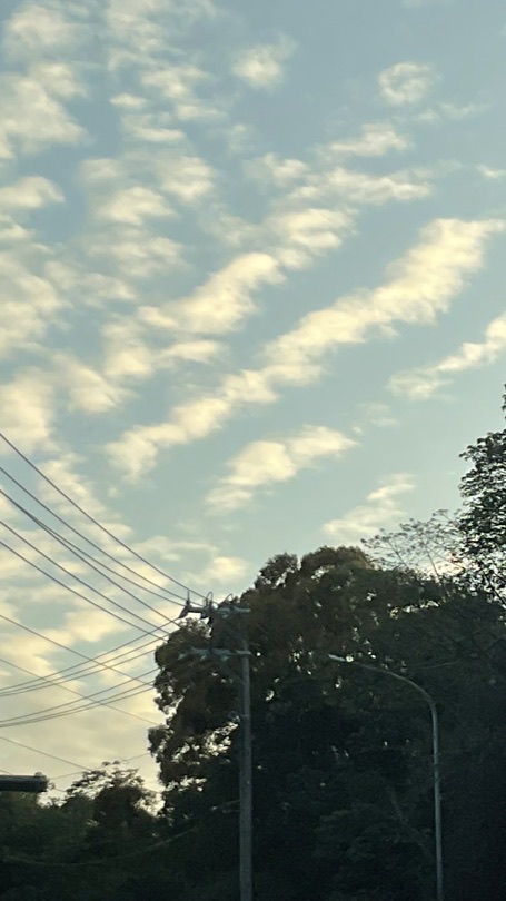 賣小東西，明星小卡