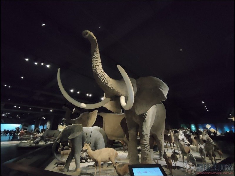 OPPO Reno5 5G 拍照樣張 - 22