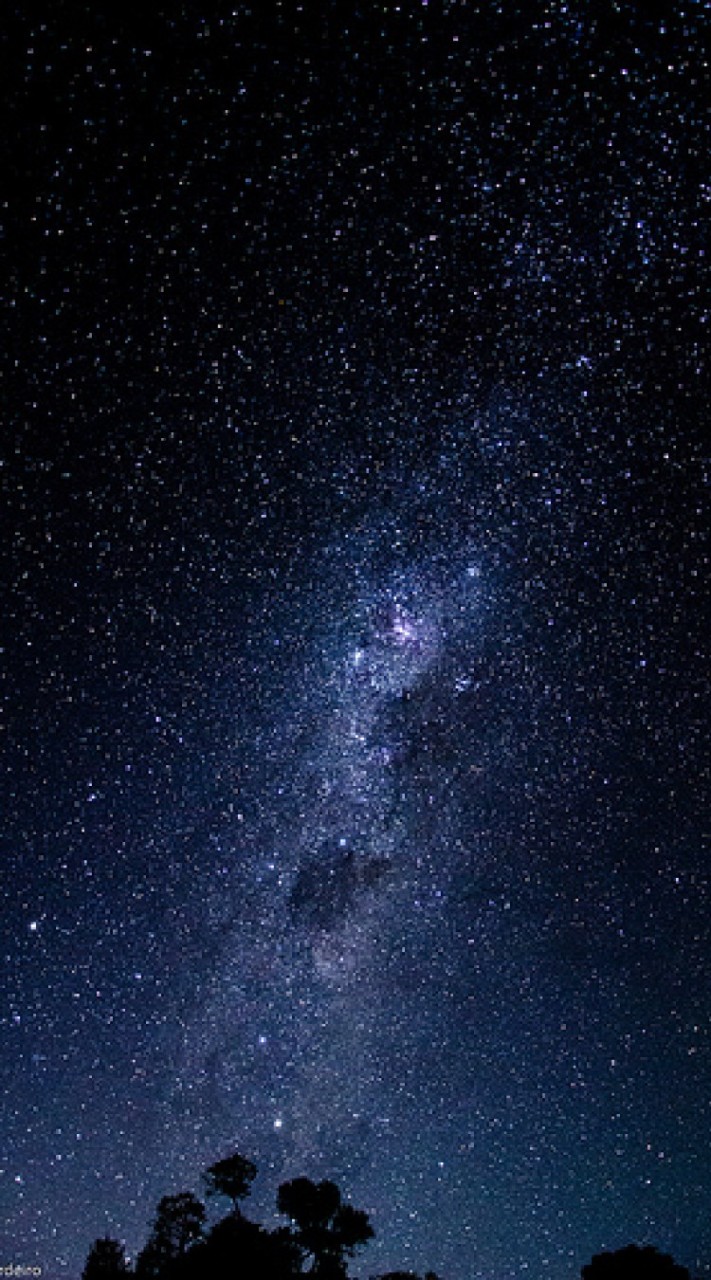 天空樹洞