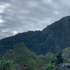 115年統測設計群俱樂部