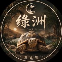 綠洲烏龜園🐢/分享交流
