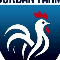 ซุ้ม ตระกูลบุกบันฟาร์มไก่ชนพม่า🐓