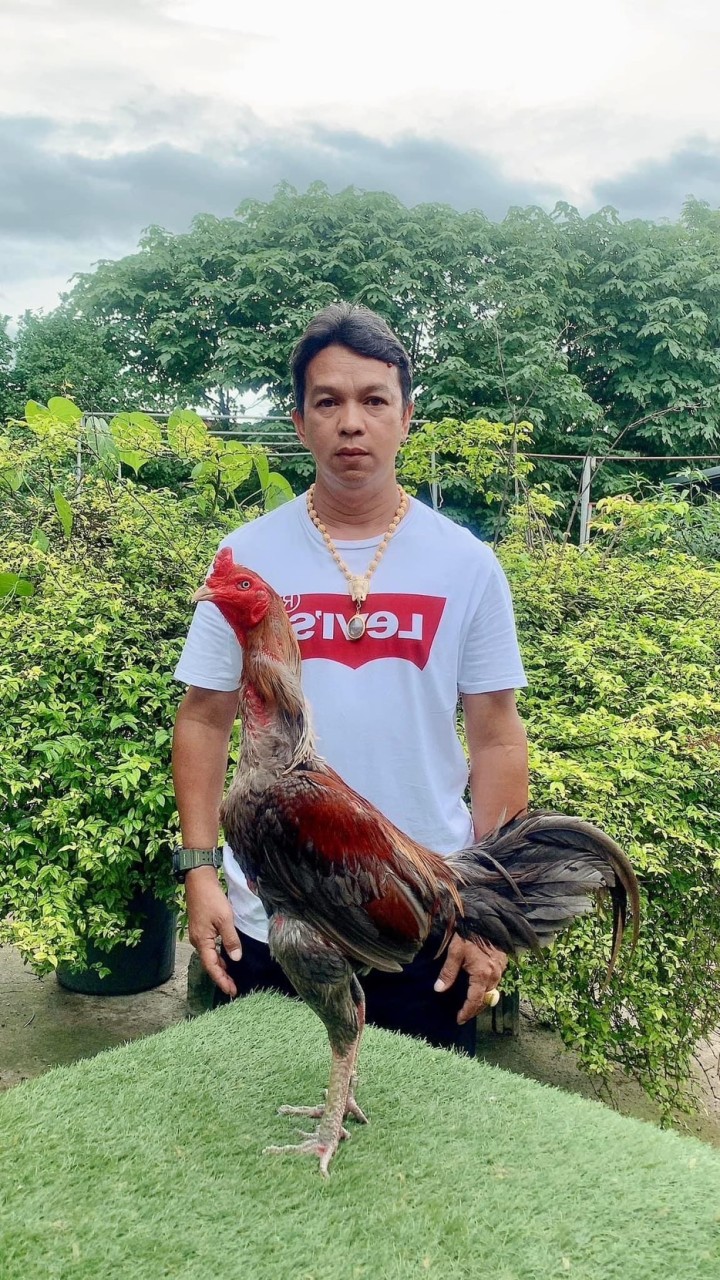 ซุ้ม ส.สมิงเดช ฟาร์ม จ.ตาก