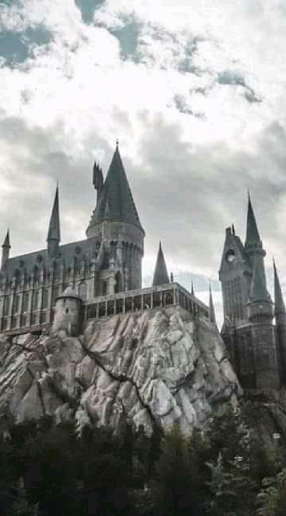 Hogwarts School 🔮