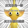 Pikmin種花小城市