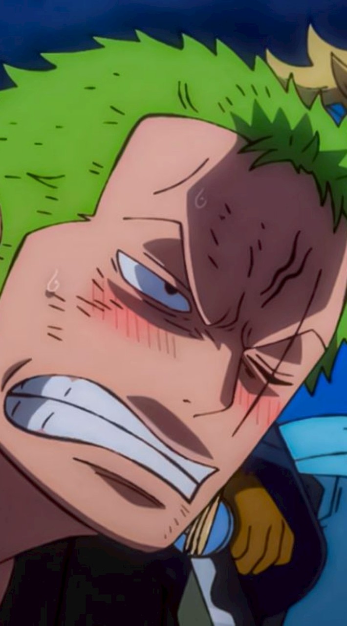 #allzoro #มัมหมีโซโล