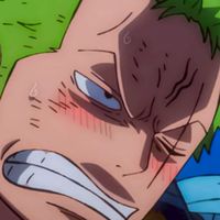 #allzoro #มัมหมีโซโล