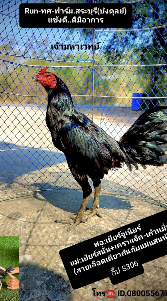 ทายาท"อสูร"ฟาร์ม.