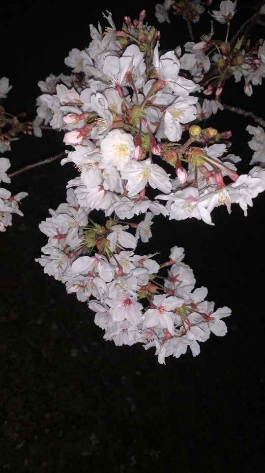 体型管理全般＆雑談