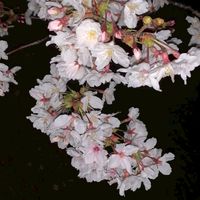 体型管理全般＆雑談