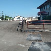 長岡　柏崎　小千谷　出雲崎　中越　で友達がほしい人　会話の練習所　悩み相談　寂しい人　人生相談　遊び