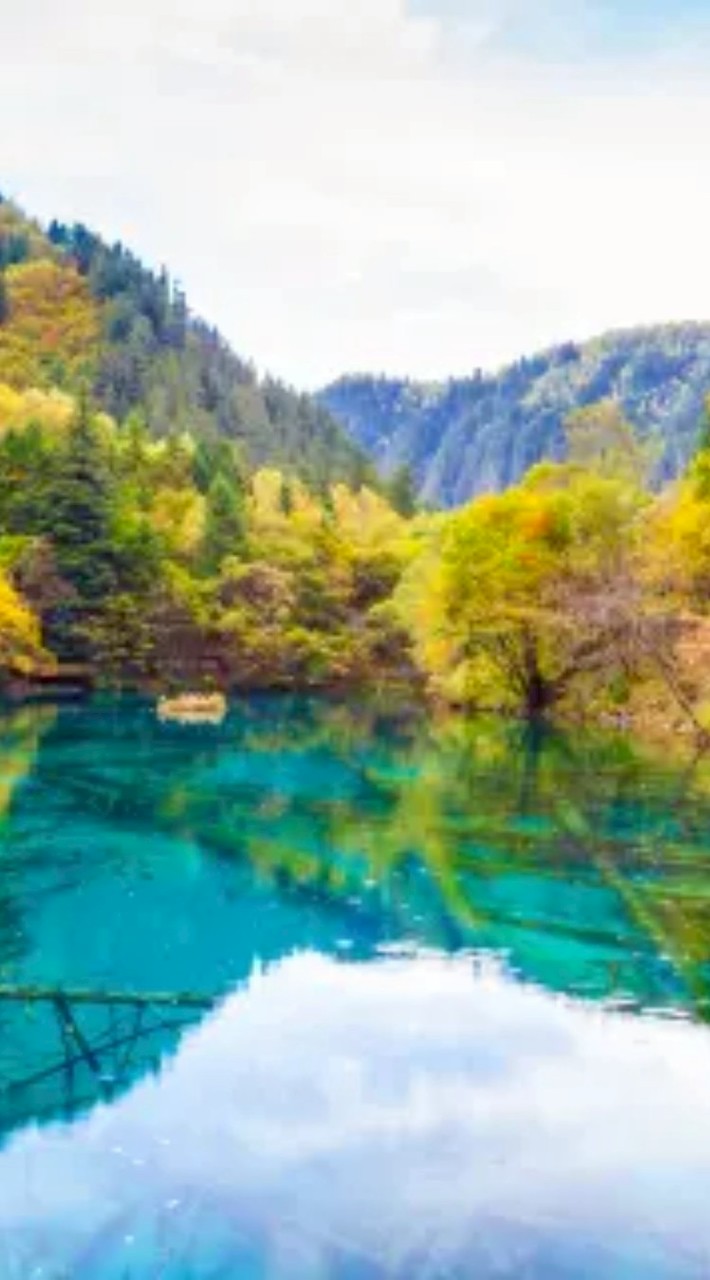 115/6/7~6/14九寨溝之旅