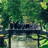 got7HusbandStandingOne❤GOT7 สามียืนหนึ่ง 💚