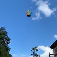 BANG 美國免州稅代運網
